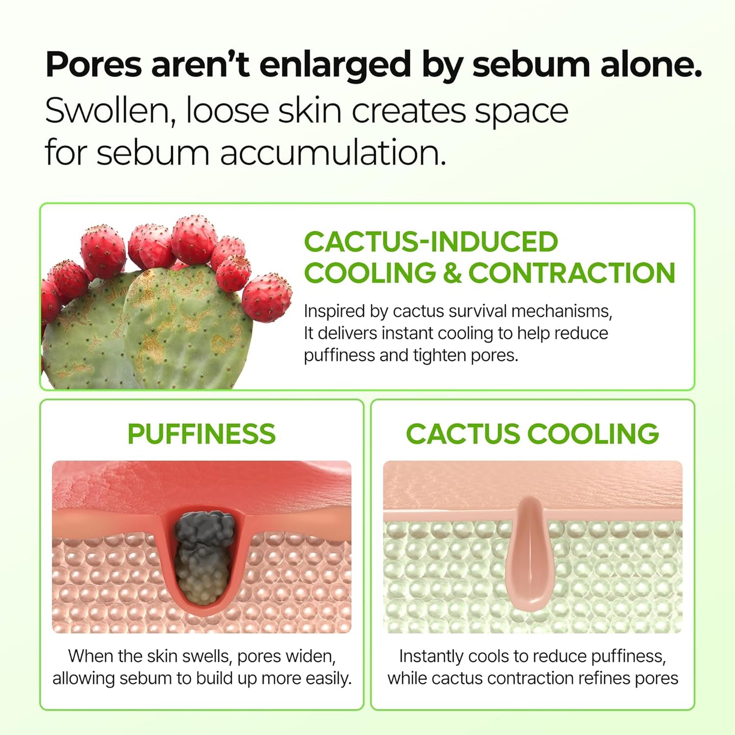 Dr. Melaxin CACTOX™ Pore Relief Multi Balm
